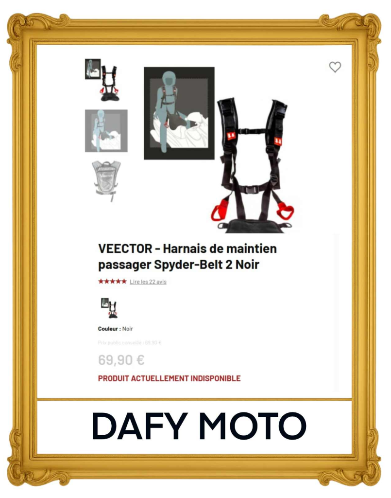 Harnais moto enfant VEECTOR Spyder-Belt 2 pour passager – sécurité et maintien