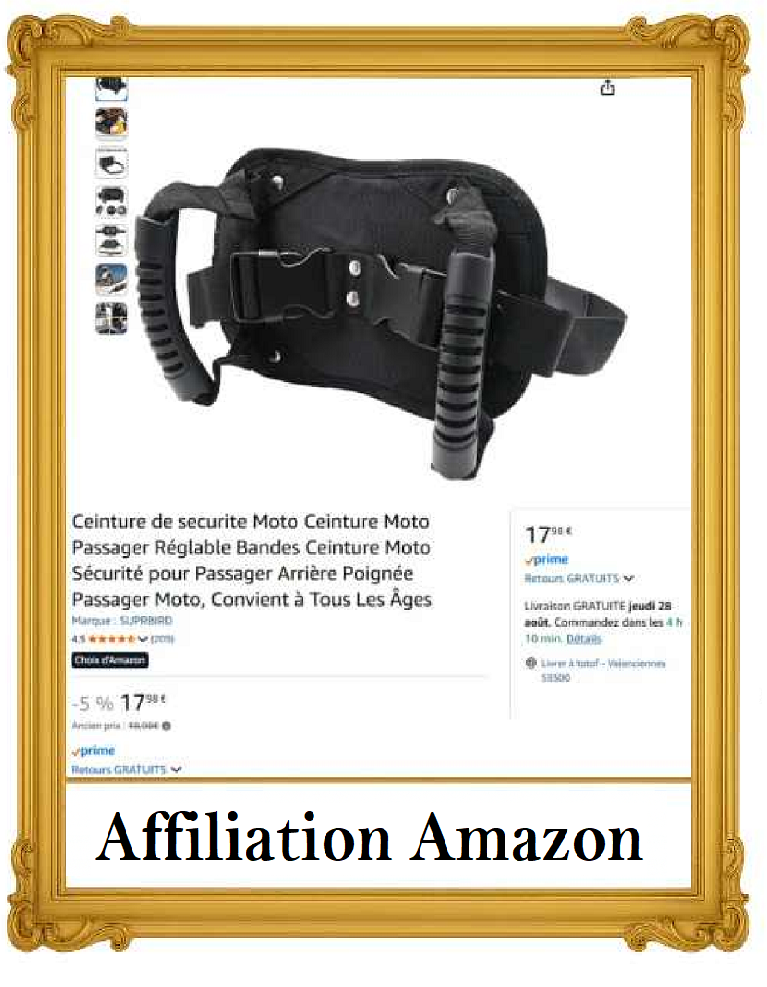 Ceinture de sécurité moto passager avec poignées – SUPRBIRD réglable, confort et maintien pour enfant et adulte